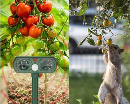 profesionalni repeller