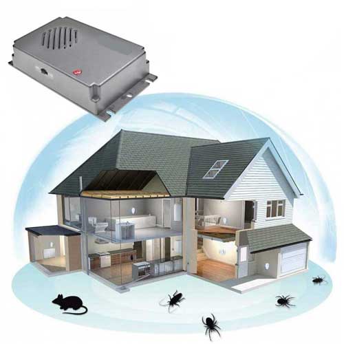 profesionalni tjerač miševa