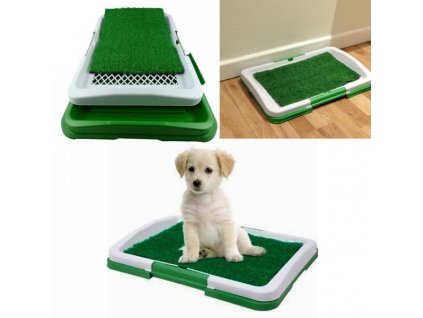 jedinstven WC za pse