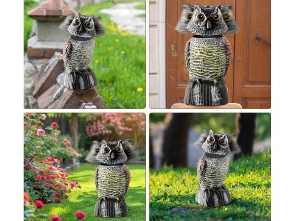 jedinstvena sova s ​​rotirajućom glavom