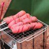 Praktični prijenosni vanjski štednjak