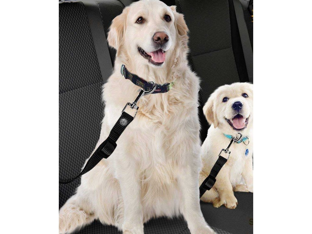 pasy dla psa do samochodu