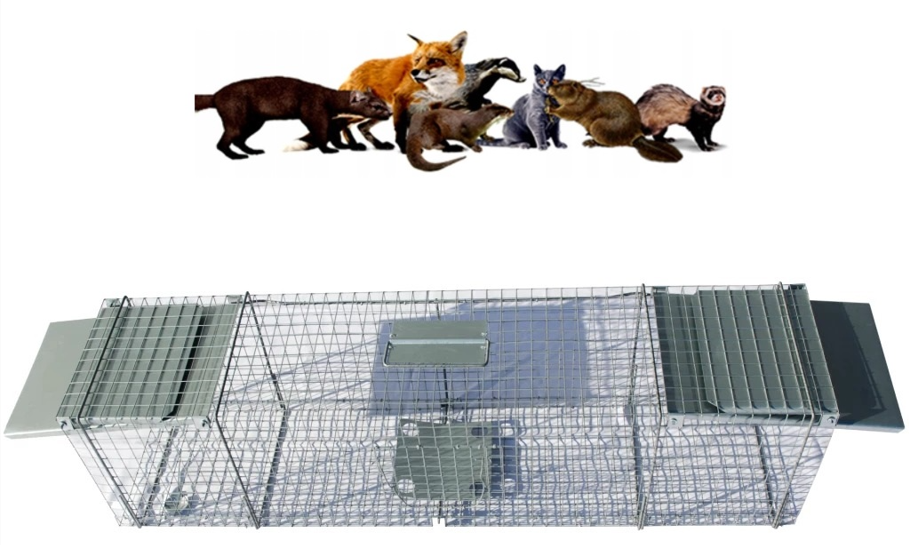 Kiváló minőségű csapda macskáknak, rókáknak és más kisállatoknak