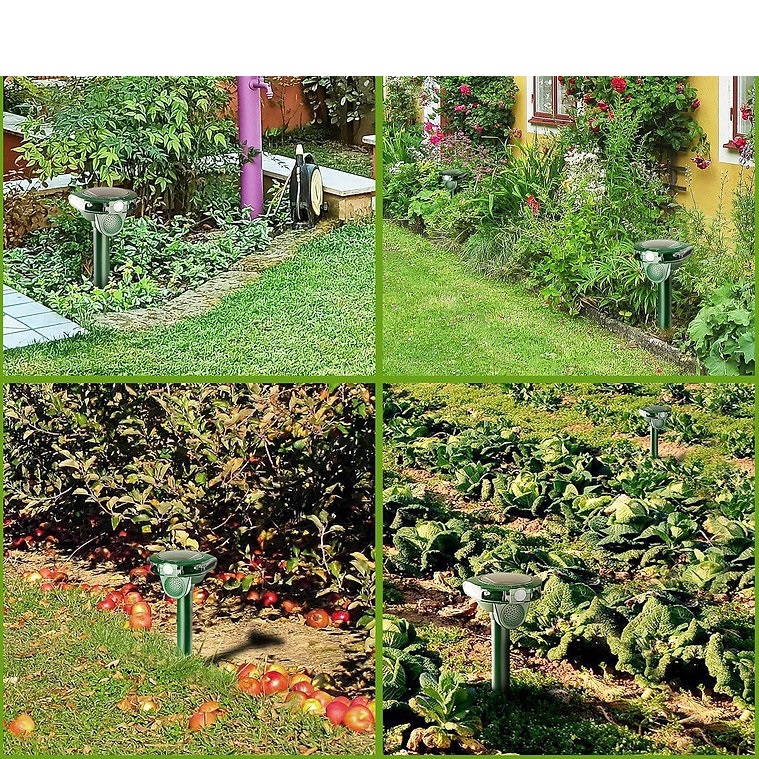 Ultrahangos macskariasztó