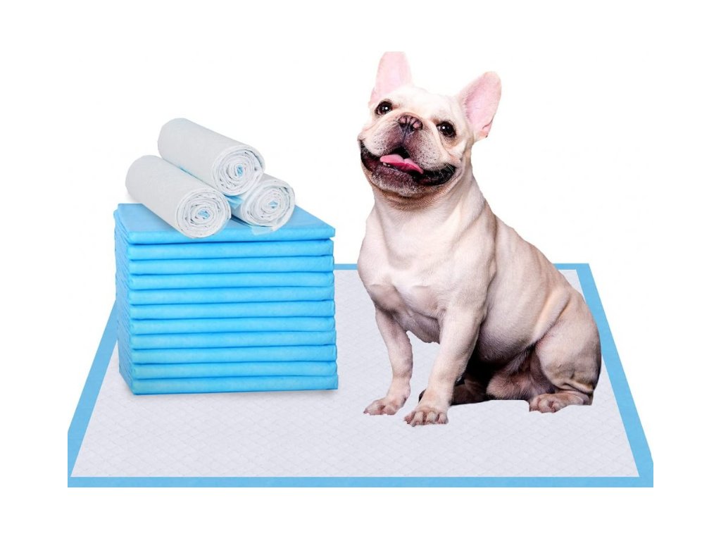 Egészségügyi nedvszívó szőnyeg kutyáknak – tisztasági alátét | Deminas