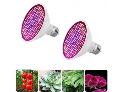 Egyedi LED fény a növények számára