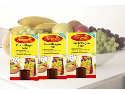 A legjobb gyümölcslégy csapda