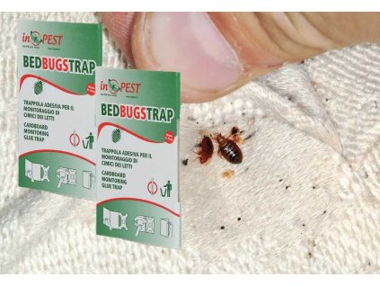 DUPLA CSOMAG - A leghatékonyabb csapda az ágyi poloskák ellen