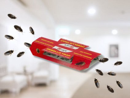 ragacsos csapda