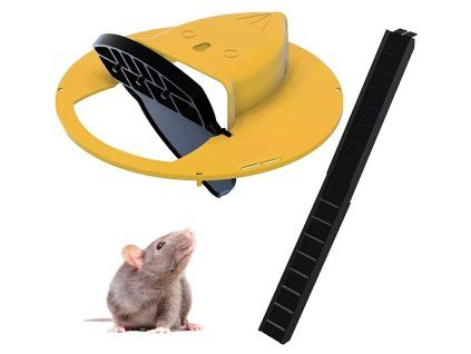 Praktikus egércsapda