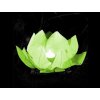 vízi lampion zöld
