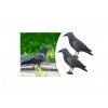 DUPLA CSOMAG Madárijesztő műanyag holló