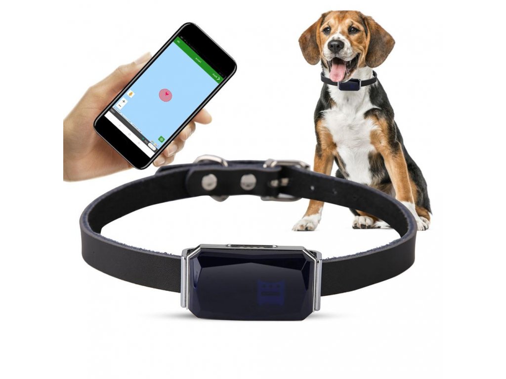 obroża z GPS dla psa i kota