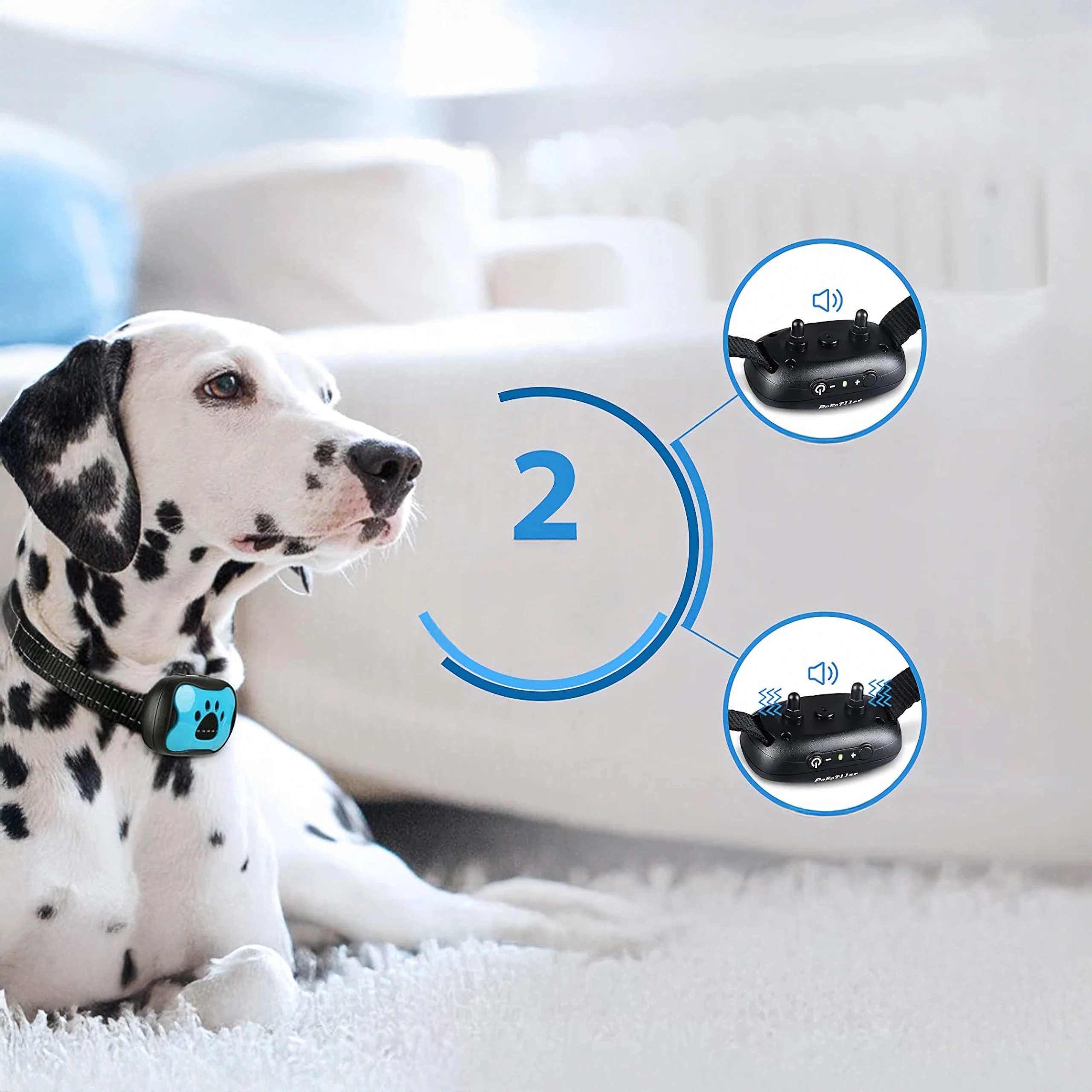 Elektryczna obroża do tresury psów