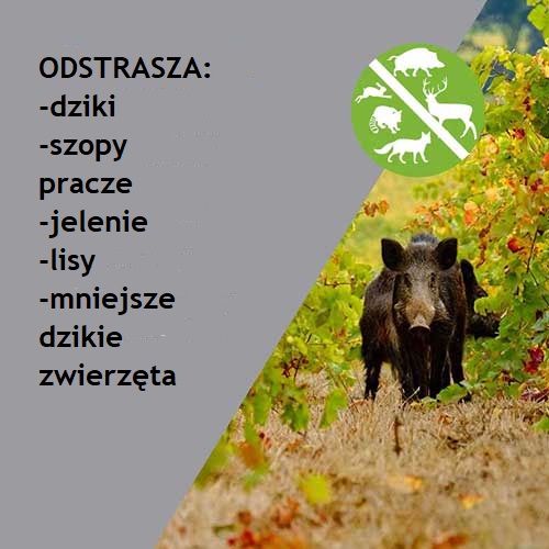 Skuteczny, słoneczny odstraszacz dzikich zwierząt