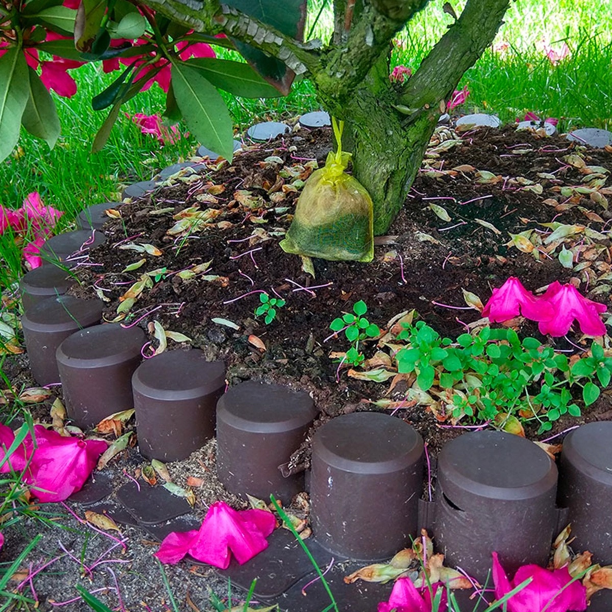 odstraszacz kotów zapachowy woreczek