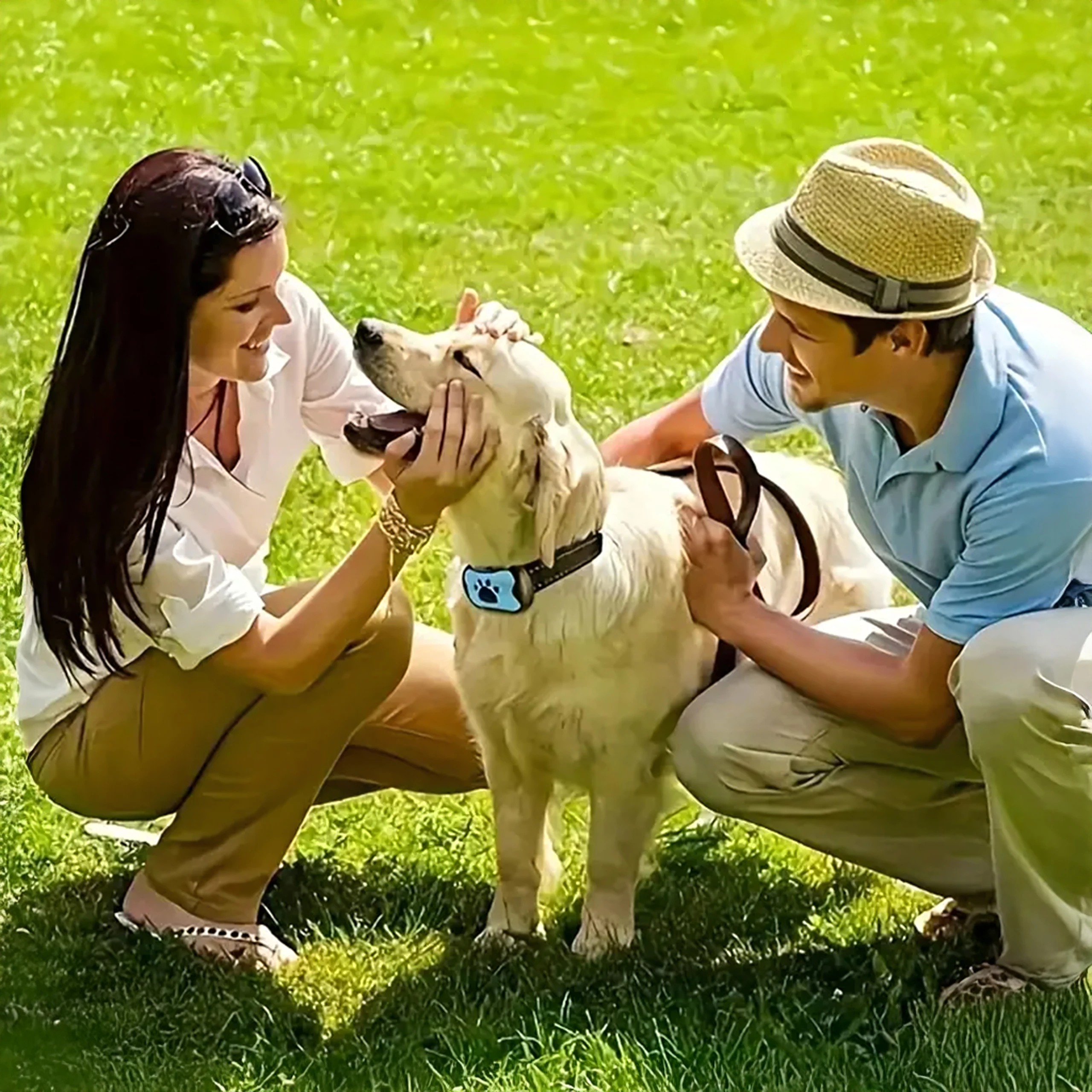 Zgardă electrică de dresaj pentru câini