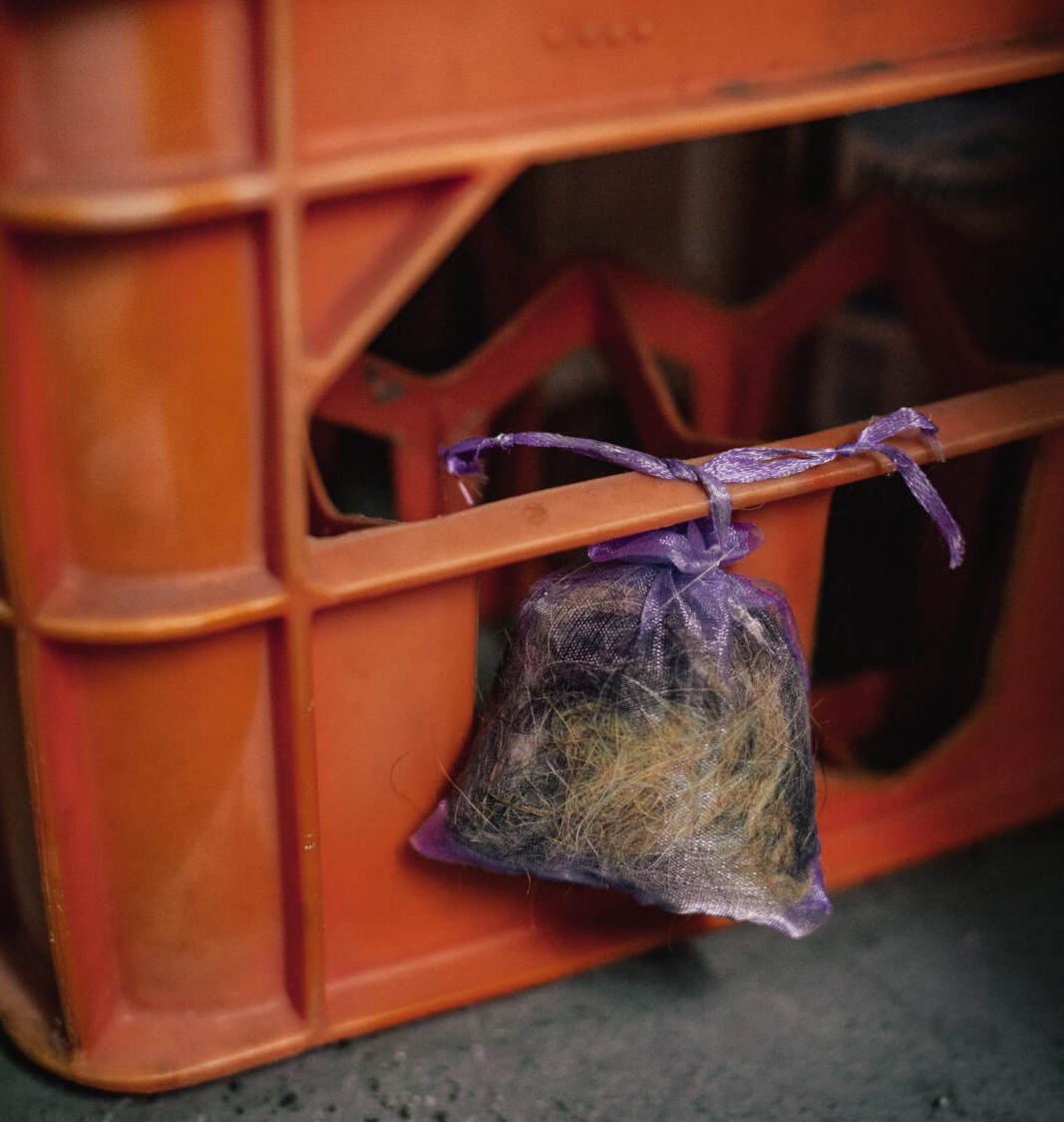 repelent de mirosuri de șoareci