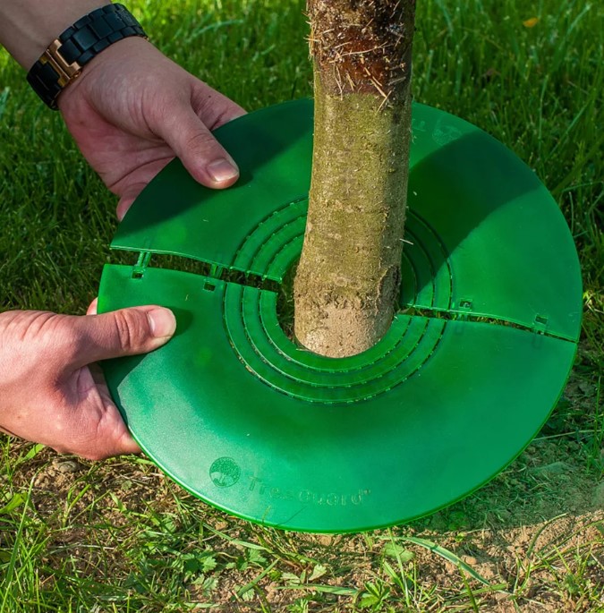 tree protector
