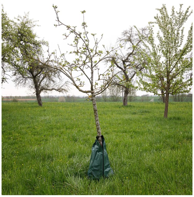 Sac de udare durabil pentru copaci - sac de udare 75l