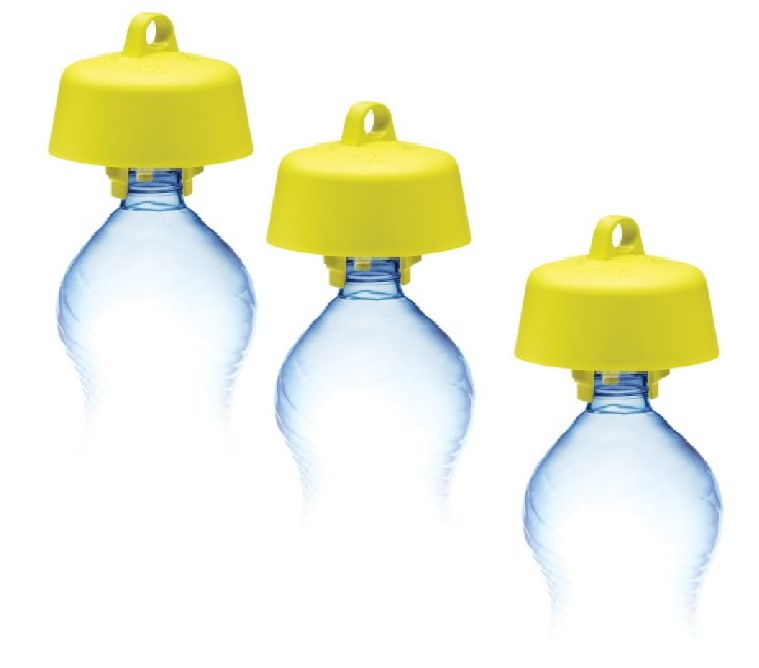 capcană pentru viespe