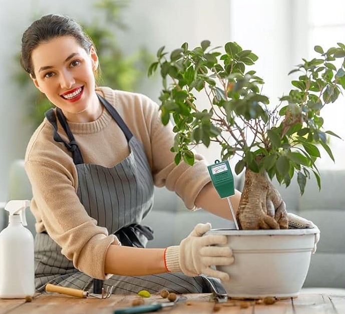 conmetrul de pH al solului