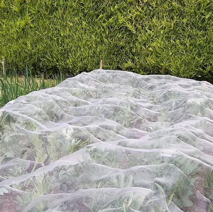 rețea de protecție a plantelor