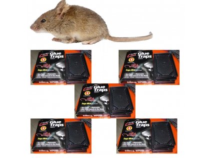 capcană pentru șoareci adeziv de înaltă calitate