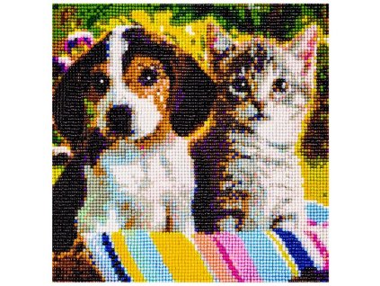 pictură cu diamant de pisică și câine