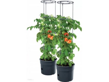 ghiveci de flori pentru cultivarea tomatelor 2x