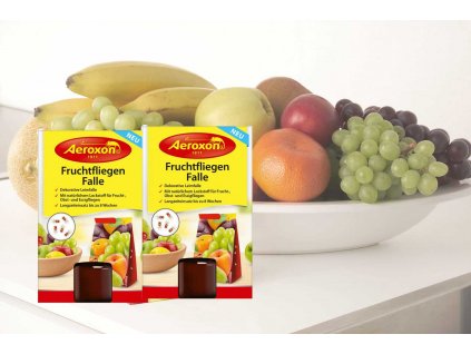 prinzător de muște de fructe