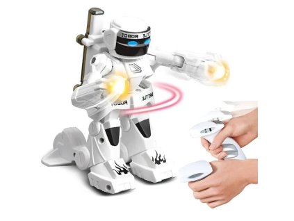 robot boxer