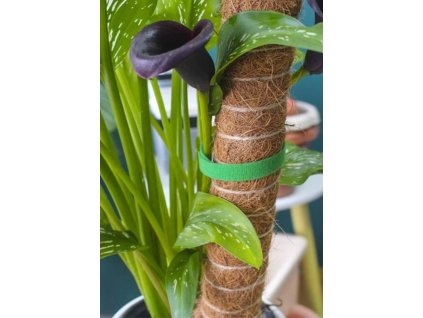 bandă de legat plante