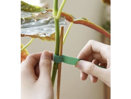 bandă pentru plante cu velcro