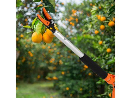 foarfece lungi de grădină