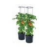 ghiveci de flori pentru cultivarea tomatelor 2x