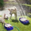 fântână automată unică pentru câini