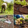 sapă de oțel cu o gaură pentru afânarea solului