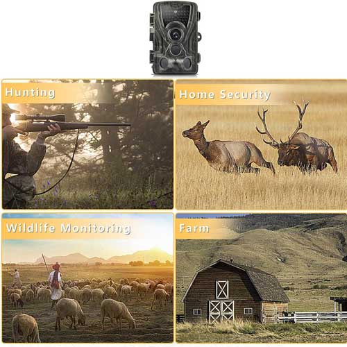 edinstvena past kamere