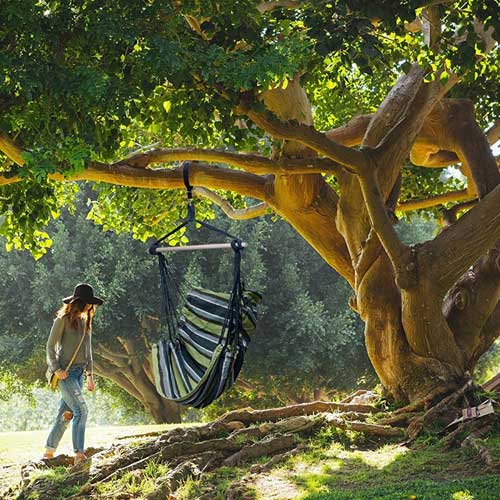 Odlična viseča mreža