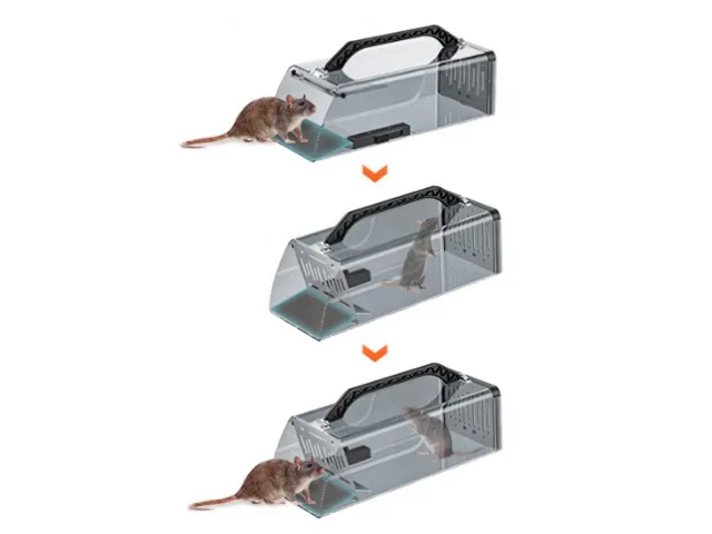 učinkovita past za podgane