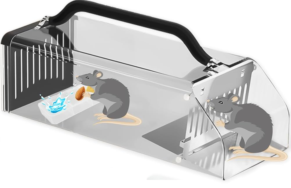 učinkovita past za podgane