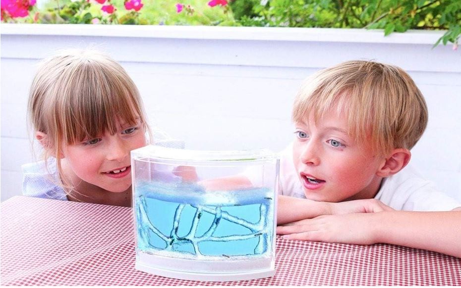 Ant farm - gel akvarij za mravlje