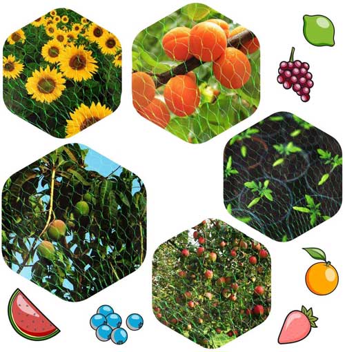 edinstvena mreža proti pticam