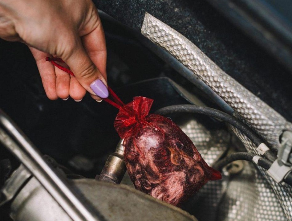 odganjalec kun in druge divjadi