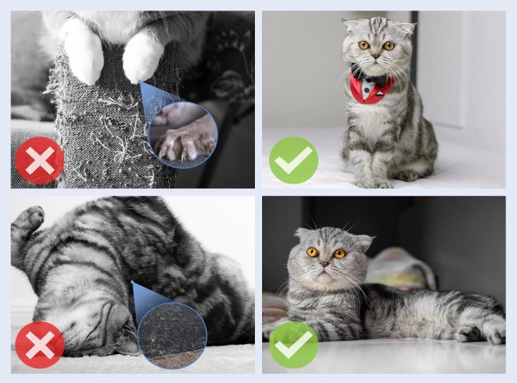 odganjalec mačk za pohištvo