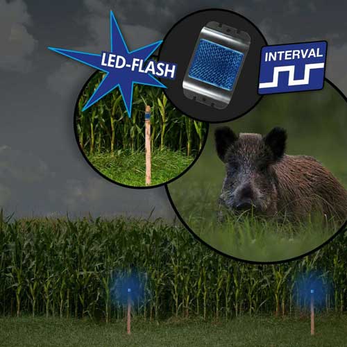 strašilo divjih živali