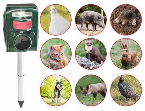 edinstveno strašilo