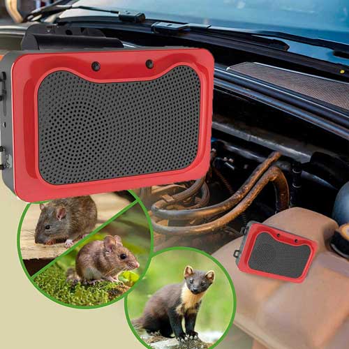 unikatno strašilo kune