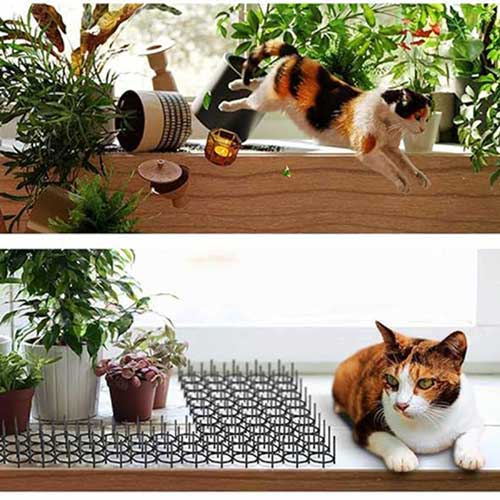 Podloga proti mačkam, kunam, psom